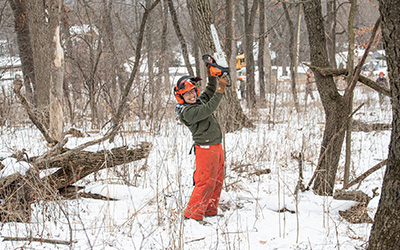 Person wearing safety gear using a chainsaw to cut a tree in a snowy forested area during the winter