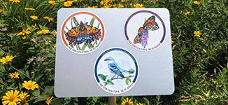 Magnets with birds and butterflies from our Conservation Art Contest.